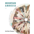 Mountain Amnesia