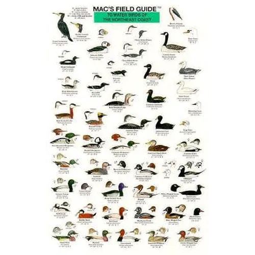 Mac's Field Guides: Northeast Coastal Water Birds