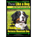Bernese Mountain Dog, Bernese Mountain Dog Training AAA AKC Think Like a Dog But Don't Eat Your Poop!: Bernese Mountain Dog Breed Expert Training - Do