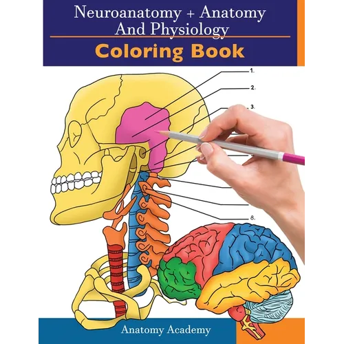 Neuroanatomy + Anatomy and Physiology Coloring Book: 2-in-1 Collection Set Incredibly Detailed Self-Test Color workbook for Studying and Relaxation