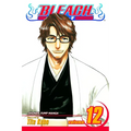 Bleach, Vol. 12
