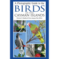 A Photographic Guide to the Birds of the Cayman Islands