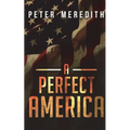 A Perfect America