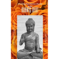 Karma Debit, clear it, before you pay it: Cleaning Past Karma (Karma Debt)