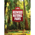 Redwood