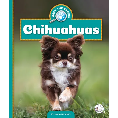 Chihuahuas