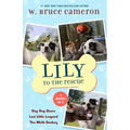 Lily to the Rescue Bind-Up Books 4-6: Dog Dog Goose, Lost Little Leopard, and the Misfit Donkey