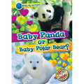Baby Panda or Baby Polar Bear?
