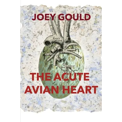 The Acute Avian Heart