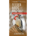 Feeder Birds of the Northeast: A Folding Pocket Guide to Common Backyard Birds