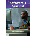 Software's Sentinel: Safeguarding Code's Integrity Through Rigorous Testing And Validation