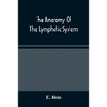 The Anatomy Of The Lymphatic System