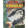 What Are Fossils?