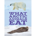 What Arctic Animals Eat: English Edition