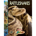Rattlesnakes