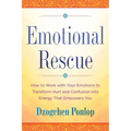Emotional Rescue: How to Work with Your Emotions to Transform Hurt and Confusion into Energy That Empowers You