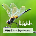 Libélulas: Libre illustrado para ninos