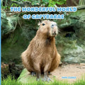 The Wonderful World of Capybaras: Interesting Facts About Capybaras