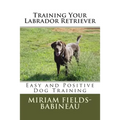 Training Your Labrador Retriever: Easy and Positive Dog Training