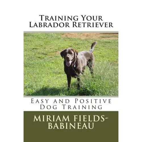 Training Your Labrador Retriever: Easy and Positive Dog Training
