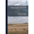 Anatomy of the Cat
