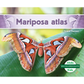 Mariposa Atlas (Atlas Moth)