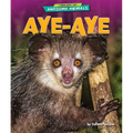 Aye-Aye