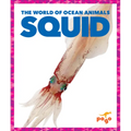 Squid