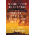 Washington Is Burning: Corruption and Lies in the Age of Trump