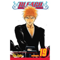 Bleach, Vol. 19