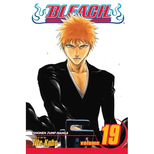 Bleach, Vol. 19