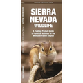 Sierra Nevada Wildlife: A Folding Pocket Guide to Familiar Animals of the Montane Forest Region
