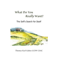 What Do You REALLY Want?: The Self's Search For Itself