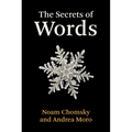 The Secrets of Words