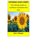 Growing Sunflower: The Ultimate Guide on Sunflower Cultivation and Care