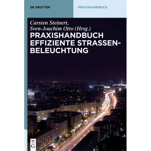 Praxishandbuch effiziente Straßenbeleuchtung
