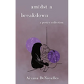 Amidst a Breakdown: A Poetry Collection