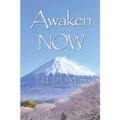 Awaken NOW: The Living Method of Spiritual Awakening
