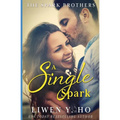 A Single Spark: A Christian Contemporary Romance