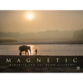 Magnetic: Humanity and the Asian Elephant