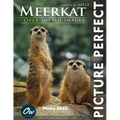Meerkat: Picture Perfect Photo Book