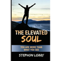 The Elevated Soul: You Are More Than What You See