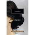 Orlando: Introduction by Jeanette Winterson