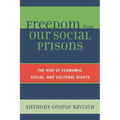 Freedom from Our Social Prisons: The Rise of Economic, Social, and Cultural Rights