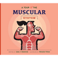 A Tour of the Muscular System