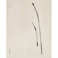 Txema Yeste: Needles