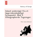Island Underso GT Fra Et Laegevidenskabeligt Synspunkt. Med 4 Lithographerde Tegninger.