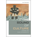 The Sound of Culture: Diaspora and Black Technopoetics