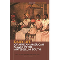 Daily Life of African American Slaves in the Antebellum South