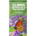 Illinois Butterflies & Pollinators: A Folding Pocket Guide to Familiar Species